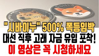 시바이누 전망 500 폭등임박 대선 직후 고래 자금 유입포착 시바이누 시바이누코인 시바이누전망 시바이누분석 시바이누목표가 시바이누차트 [upl. by Anomar391]