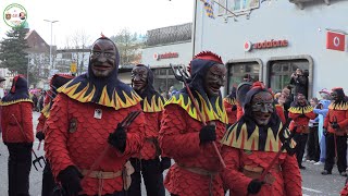 Fasnet Narrentreffen in Waldkirch Teil3 [upl. by Alaaj]