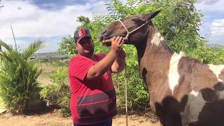 CIMENTO QUEIMADO NO CHÃO EM CIMA DE AZULEJO OU PISO  VÍDEO COMPLETO PASSO A PASSO [upl. by Eimilb]