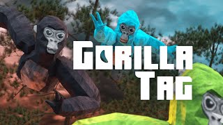 Gorilla Tag Store Launch  Meta Quest [upl. by Akel]