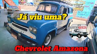 Conhece a Chevrolet Amazona a primeira Veraneio A história da Bandinha Chevrolet Brasil 3100 [upl. by Marion]