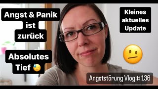 Angst amp Panik ist zurück  Angststörung Vlog 136 11082024  Uschi Time [upl. by Hiroshi]