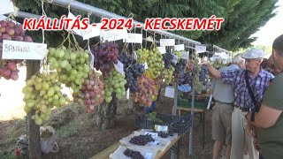 III CSEMEGESZŐLŐ FAJTA ÉS TECHNOLÓGIAI BEMUTATÓ – KISFÁI ÖKOKERT  KECSKEMÉT  2024 [upl. by Anirpas352]