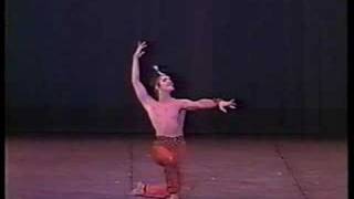 Valery Lantratov Corsaire Variation [upl. by Akaenahs237]