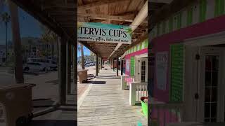 Johns Pass Tervis Cup OPEN  Taken 112324 [upl. by Tillman]