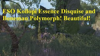 ESO Kollopi Essence and Polymorphs Beautiful Combo [upl. by Aivekal]