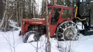 Massey Ferguson 35 in forest [upl. by Donela]