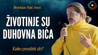 Branislav Pajić Anya  ŽIVOTINJE SU DUHOVNA BIĆA  Šta nas čini savršenim  03 [upl. by Yelrebmik328]