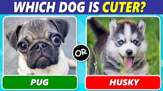 Which Dog is Your Favorite Dog Lover Edition [upl. by Maddi]