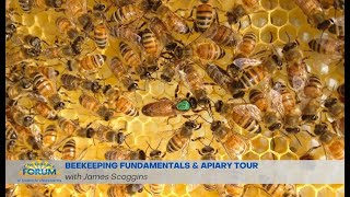 Beekeeping Fundamentals [upl. by Aniham]