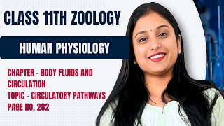 CLASS 11TH  BODY FLUIDS AND CIRCULATION  CIRCULATORY PATHWAYS  NCERT PAGE NO 282 [upl. by Illyes]