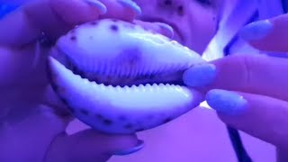 ASMR PIERRES MAGIQUES PENDULE EXERCICES VISUELS COQUILLAGE SUR TON OREILLE [upl. by Hanshaw61]