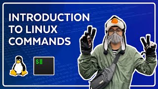 Introduction to Linux amp Terminal Commands  Full Course for Beginners [upl. by Enram]