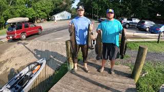 Mattawoman Creek Fishing Trip Snakehead  Bass [upl. by Burnham612]