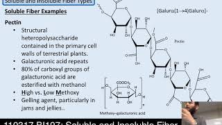 Lecture 21 110317 Soluble and Insoluble Fiber [upl. by Monique]