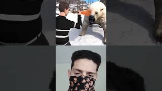 ¿El spray de osos sirve contra un oso polar 🐻‍❄️😨 shorts parati viral short [upl. by Ahsilrac27]