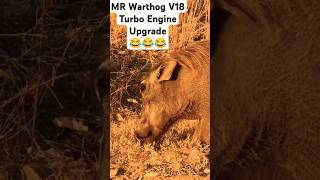 MR Warthog V18 Turbo Engine Upgrade 😂😂😂😂 [upl. by Burkitt]