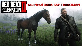 Dark Bay Turkoman Cerberus Get It Early amp Free Red Dead Redemption 2 BestHorses RDR2 [upl. by Ahsienat]