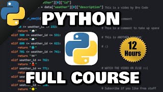 Python Full Course for free 🐍 2024 [upl. by Nuhsar]