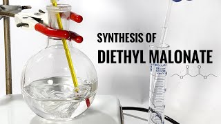 Diethyl Malonate  Synthesis via Fischer Esterification [upl. by Mccafferty]