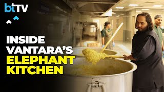 Exclusive  Anant Ambani And Rahul Kanwal Take a Tour of Vantara Kingdom Elephant Kitchen [upl. by Bois37]