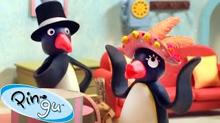 A New Hat 🐧  Pingu  Official Channel  Cartoons For Kids [upl. by Kalk]