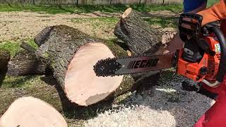 Chainsaw Echo Cs501SX [upl. by Islehc]