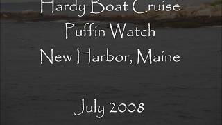 Hardy Boat Cruise Puffin Watch Tour New Harbor Pemaquid Maine [upl. by Parsons]