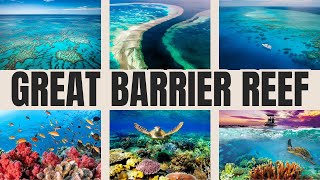 The Great Barrier Reef Australia Island  Natural Wonder is in Danger [upl. by Moncear]