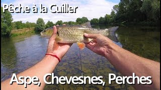 Pêche à la cuiller  leurre estival  Aspe Chevesnes perches [upl. by Ahseyd]