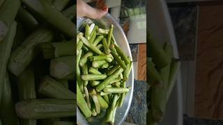 লতিnoti cooking noti new recipe [upl. by Brandy]