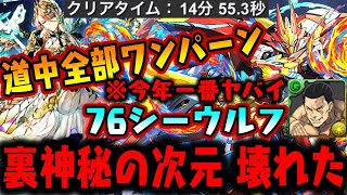 【頭悪すぎ】卑怯だろこんなの 裏神秘 14分で壊れちゃった 76シーウルフ【ダックス】【パズドラ実況】 [upl. by Assira]