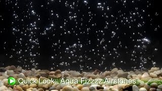 Aqua Fizzzz Airstones DrsFosterSmith [upl. by Whitebook]