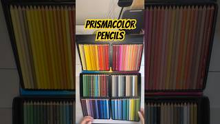 Prismacolor pencils art prismacolor pencilsketch foryoupage drawing [upl. by Aevin346]