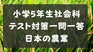 小学5年生社会科テスト対策一問一答【小学校で習う日本の農業の特徴】 中学受験対策 、小学校テスト対策問題 [upl. by Suirada]