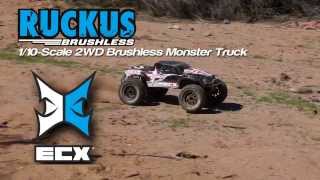 ECX Ruckus 110 Brushless Monstertruck von Horizon Hobby [upl. by Annadiane]