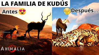 LA FAMILIA DE KUDÚS EN PELIGRO  Animalia Survival [upl. by Mcgean239]