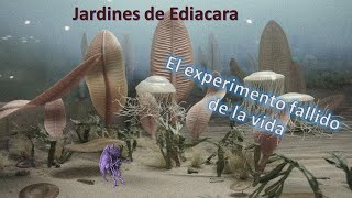 La extraña biota de Ediacara [upl. by Arreis]