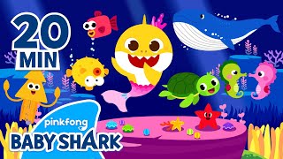 Songs for Kids Best SingAlong Songs [upl. by Evot]