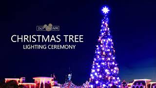 Christmas Tree Lighting Ceremony Soundtrack  Disneyland Paris [upl. by Elik]