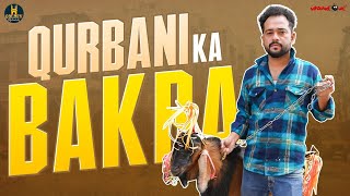 Qurbani Ka Bakra  Bakrid Special Video  Golden Hyderabadiz  Abdul Razzak  Social Message [upl. by Llednohs]