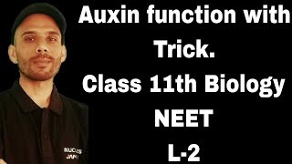 Plant hormones  function of Auxin  class 11th Biology  NEET [upl. by Analed]