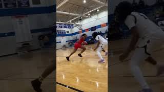 Iso basketball ballislife wnba lsu ncaawbb savagetvuncut nba [upl. by Aneekas]