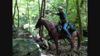 Faye Whittemore Trail Ride [upl. by Epperson]