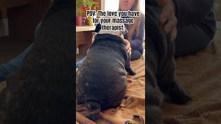 Dog and masseuse ￼ relaxing meditationmusic dog bulldog nature englishbulldog love massage [upl. by Yerffoej285]