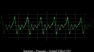 😴 Snoring Sound Effect  Russare Effetto Sonoro HD 💤 [upl. by Gatias]