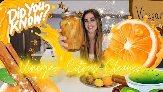 Vinegar Citrus Cleaner  CHEM WITH WREN  Science Experiment [upl. by Ahsinet]