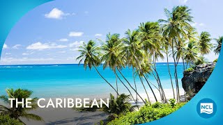 Best Cruises to Caribbean  2025  2026 Cruises  Norwegian Cruise Line [upl. by Kial]