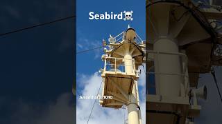 Ship rukte hii aa gyii samundari sea Eagle🛳️☠️🦅 explore ship shortvideo travel [upl. by Bord180]