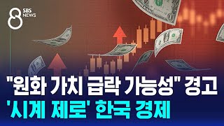 quot원화 가치 급락 가능성quot 경고…시계 제로 한국 경제  SBS 특집 8뉴스 [upl. by Nazar]